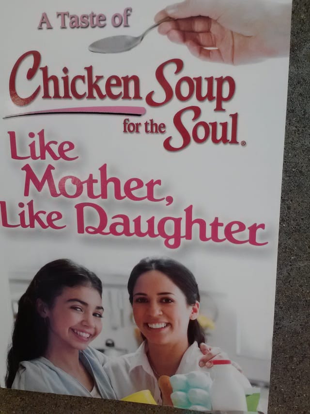 A Taste of Chicken Soup for the Soul Like Mother, Like Daughter: Stories about the Special Bond Betwwen Mothers and Daughters