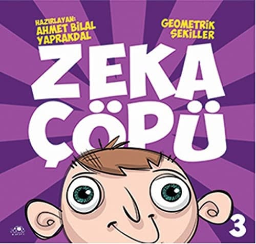 Zeka Cöpü-3 Geometrik Sekiller