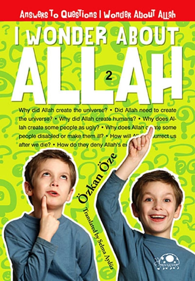 I Wonder about Allah