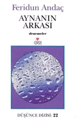 Aynanın arkası okumak, yazmak, yorumlamak üzerine denemeler
