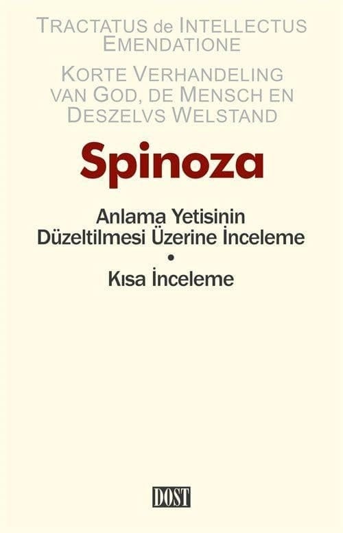Anlama Yetisinin Düzeltilmesi Üzerine İnceleme
